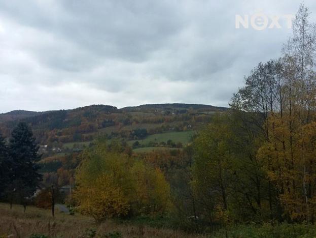 Prodej pozemku, Líšný, 625 m2