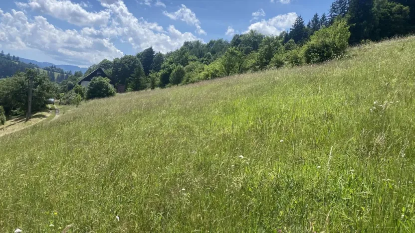 Prodej pozemku pro bydlení, Nový Hrozenkov, 1053 m2
