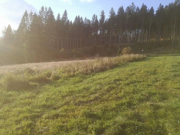 Prodej pozemku, Želnava, 14303 m2