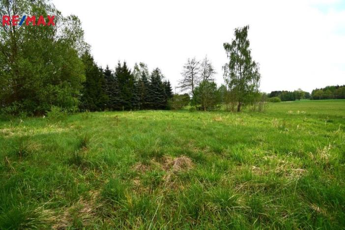 Prodej pozemku pro bydlení, Kostelní Radouň, 993 m2