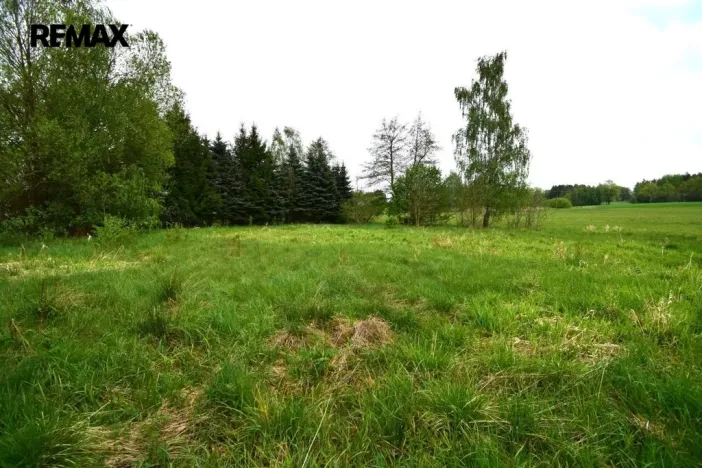 Prodej pozemku pro bydlení, Kostelní Radouň, 993 m2