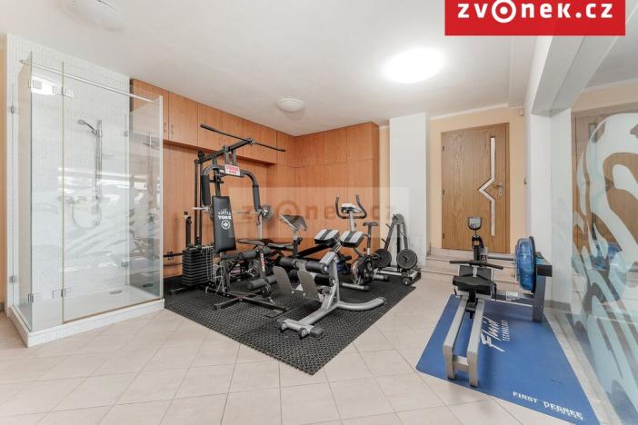 Prodej vily, Hranice - Hranice I-Město, 550 m2