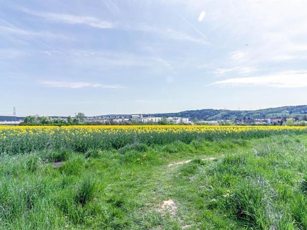 Prodej pozemku pro komerční výstavbu, Stříbro, 7355 m2