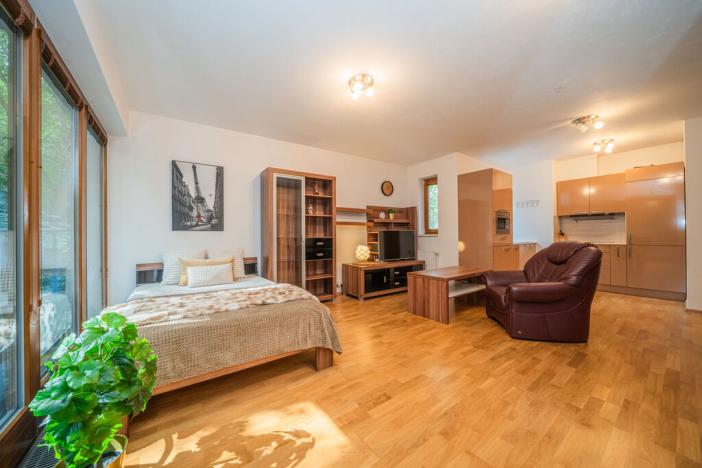 Prodej bytu 1+kk, Praha - Radlice, Pechlátova, 42 m2