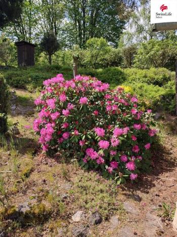 Prodej pozemku pro bydlení, Nová Bystřice - Nový Vojířov, 2690 m2