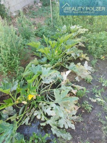 Pronájem zahrady, Prostějov, 100 m2