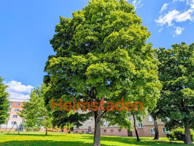 Pronájem bytu 3+1, Havířov - Město, Na Nábřeží, 73 m2