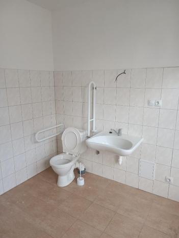 Pronájem bytu 1+kk, Ústí nad Labem - Předlice, Prostřední, 36 m2