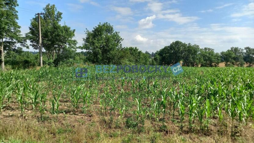 Prodej komerčního pozemku, Havlíčkův Brod - Termesivy, 20005 m2