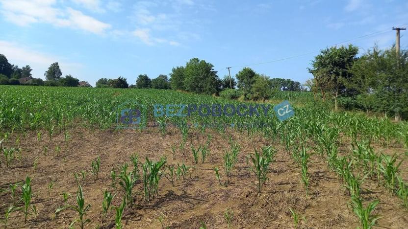 Prodej komerčního pozemku, Havlíčkův Brod - Termesivy, 20005 m2