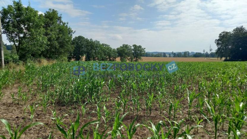 Prodej komerčního pozemku, Havlíčkův Brod - Termesivy, 20005 m2