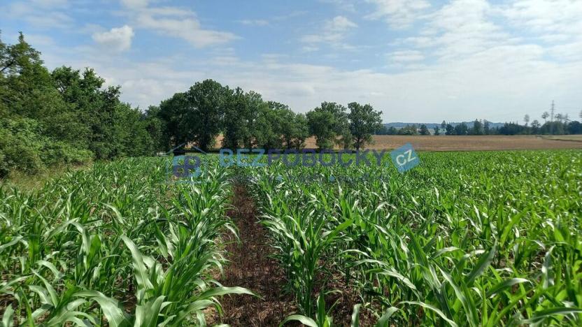 Prodej komerčního pozemku, Havlíčkův Brod - Termesivy, 20005 m2