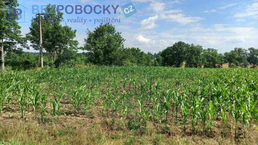 Prodej komerčního pozemku, Havlíčkův Brod - Termesivy, 20005 m2