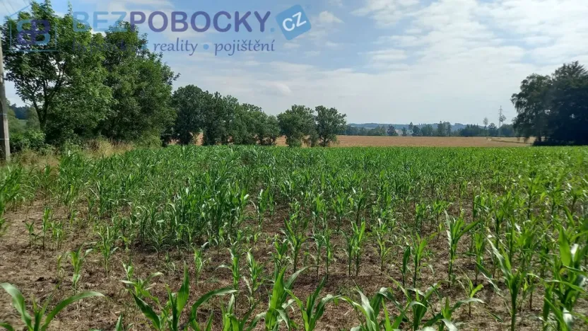 Prodej komerčního pozemku, Havlíčkův Brod - Termesivy, 20005 m2