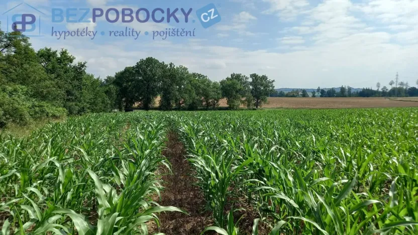 Prodej komerčního pozemku, Havlíčkův Brod - Termesivy, 20005 m2