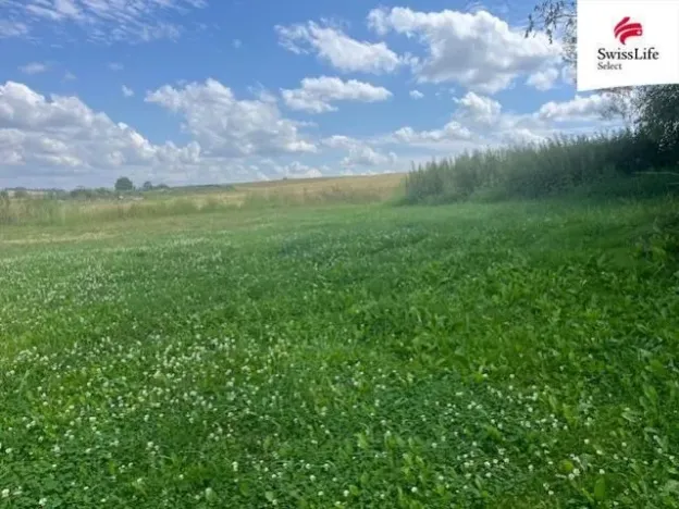 Prodej trvalého travního porostu, Hodice, 360 m2