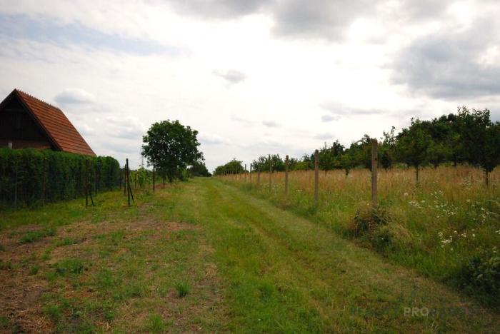 Prodej pozemku pro bydlení, Břeclav - Charvátská Nová Ves, 1960 m2