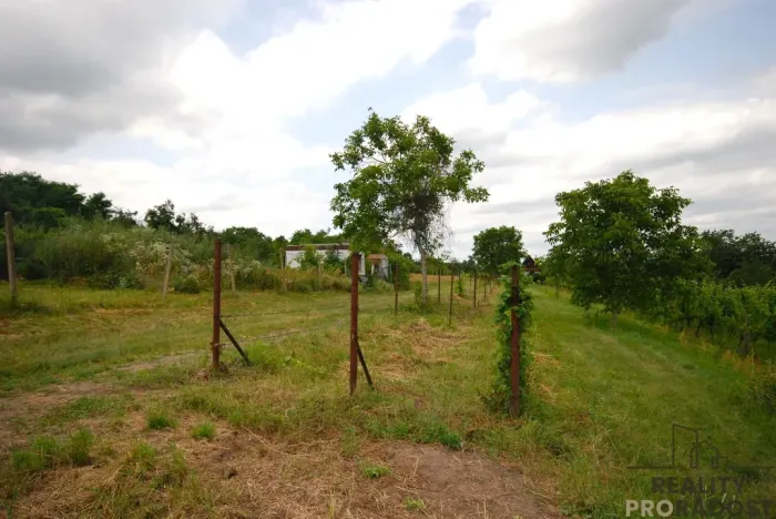 Prodej vinného sklepa, Břeclav - Charvátská Nová Ves, 15 m2