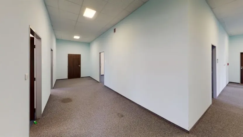 Pronájem komerční nemovitosti, Ústí nad Labem - Ústí nad Labem-centrum, Masarykova, 100 m2