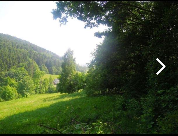 Prodej zemědělské půdy, Zubří, Pod Obecníkem, 2234 m2