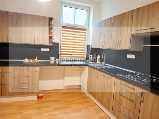 Prodej vily, Kraslice, Rybná, 420 m2