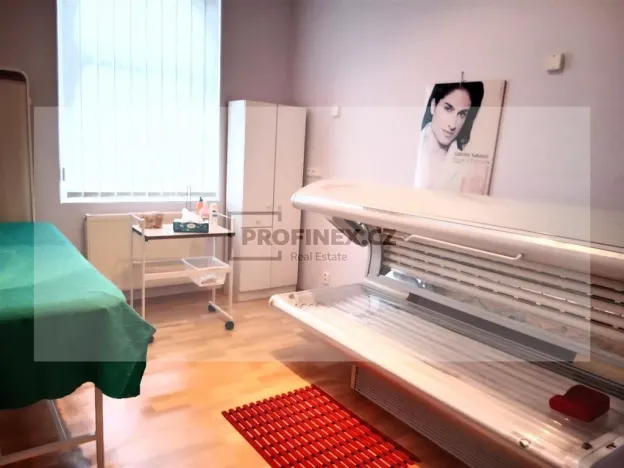 Prodej vily, Kraslice, Rybná, 420 m2