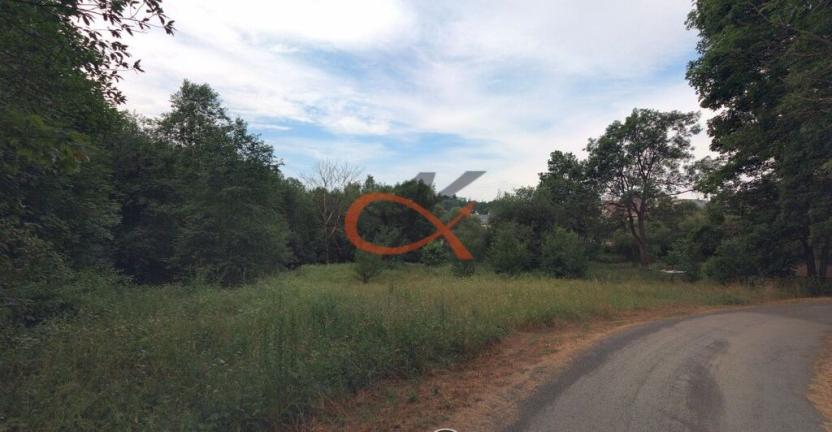 Prodej pozemku pro bydlení, Moravský Beroun, 1990 m2