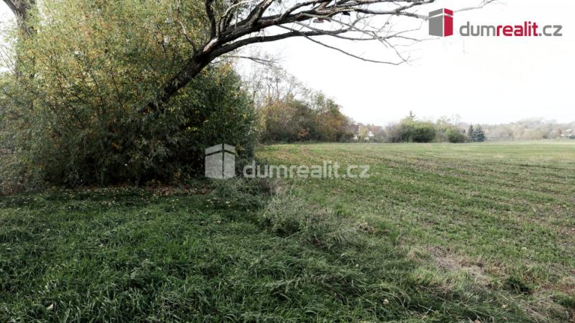 Prodej pole, Vestec, 20417 m2