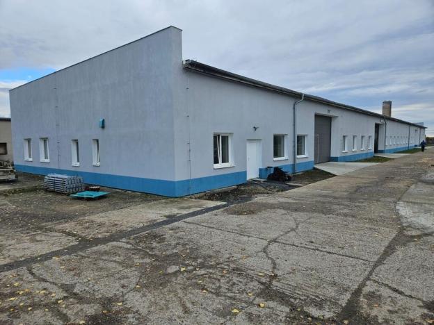 Pronájem výrobních prostor, Děčany - Solany, 1499 m2