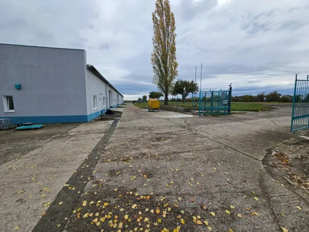 Pronájem výrobních prostor, Děčany - Solany, 500 m2