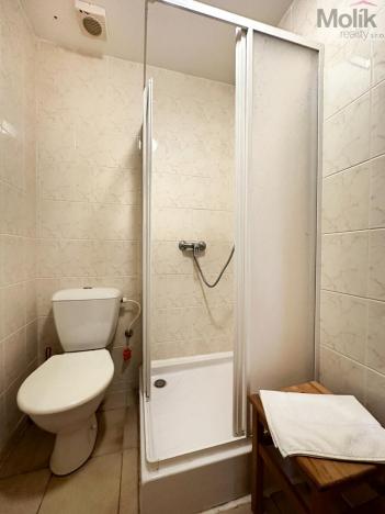 Pronájem ubytování, Mikulov, Růžová, 980 m2