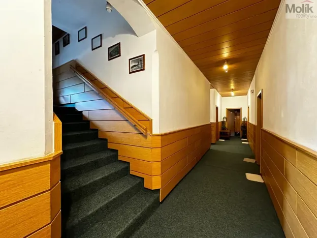 Pronájem ubytování, Mikulov, Růžová, 980 m2