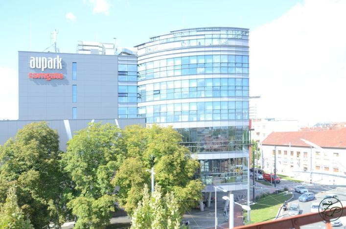 Pronájem bytu 2+1, Hradec Králové - Pražské Předměstí, Gočárova třída, 75 m2