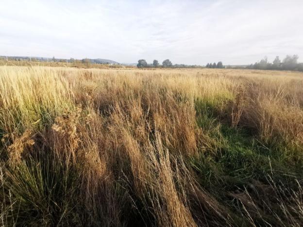 Prodej pozemku pro bydlení, Plzeň, 1513 m2