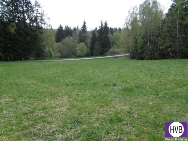 Prodej podílu 1/3 pole, Přední Výtoň, Přední Výtoň, 4039 m2