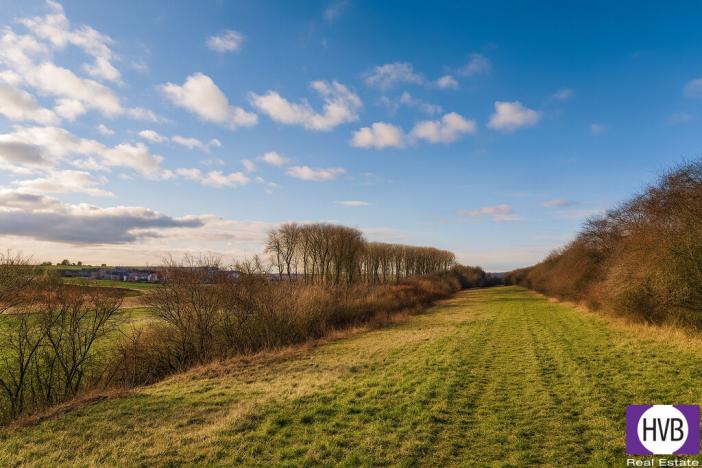 Prodej zemědělské půdy, Vodochody, Hoštice, 7272 m2