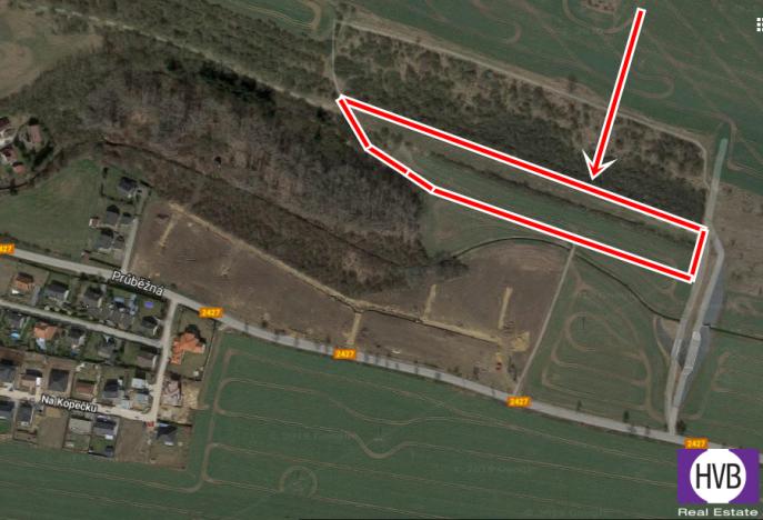 Prodej zemědělské půdy, Vodochody, Hoštice, 7272 m2