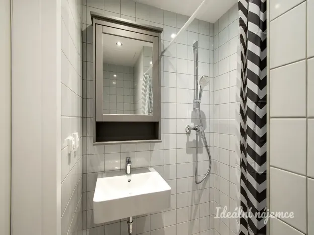 Pronájem bytu 1+1, Praha - Karlín, Hybešova, 33 m2