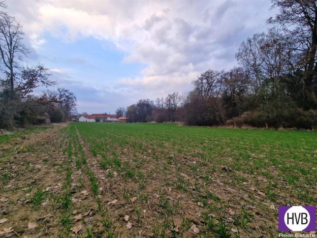 Prodej zahrady, Praha, 19402 m2