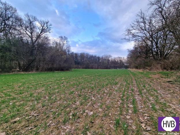 Prodej zahrady, Praha, 19402 m2