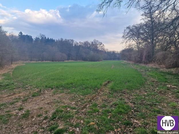 Prodej zahrady, Praha, 19402 m2