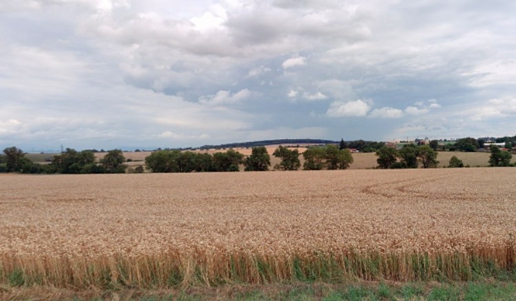 Prodej podílu zemědělské půdy, Pavlovice u Kojetína, 5603 m2