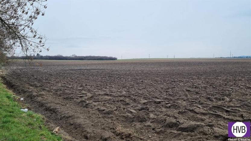 Prodej zemědělské půdy, Číčovice, 14648 m2