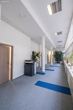 Pronájem kanceláře, Praha - Nové Město, Olivova, 300 m2