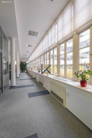 Pronájem kanceláře, Praha - Nové Město, Olivova, 300 m2