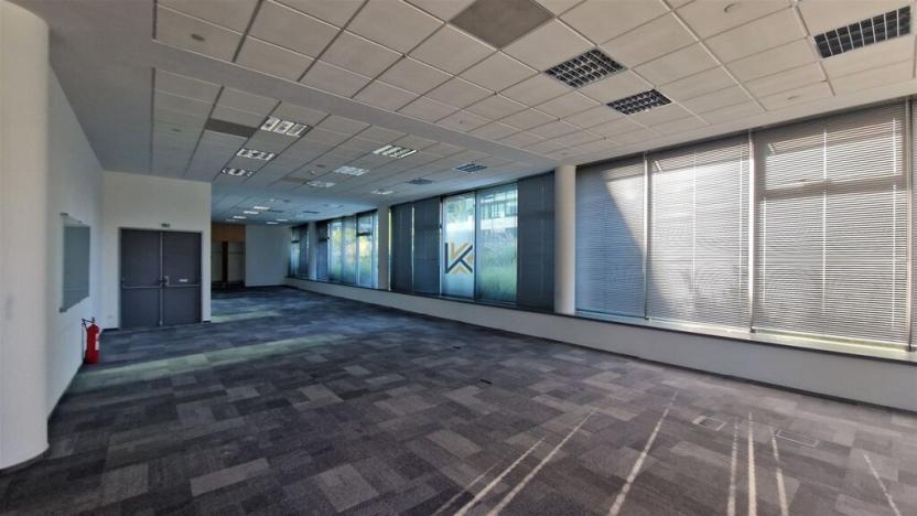 Pronájem kanceláře, Praha - Chodov, V parku, 281 m2