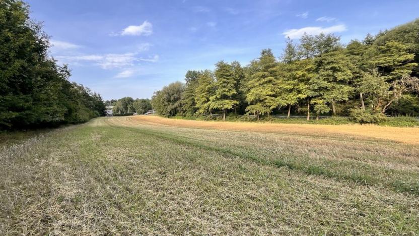 Prodej pozemku pro bydlení, Kralupy nad Vltavou - Minice, 14370 m2