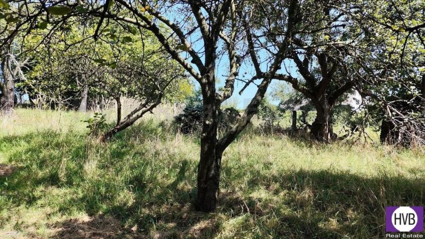 Prodej pozemku pro bydlení, Ostrava - Koblov, Koblovská, 1607 m2