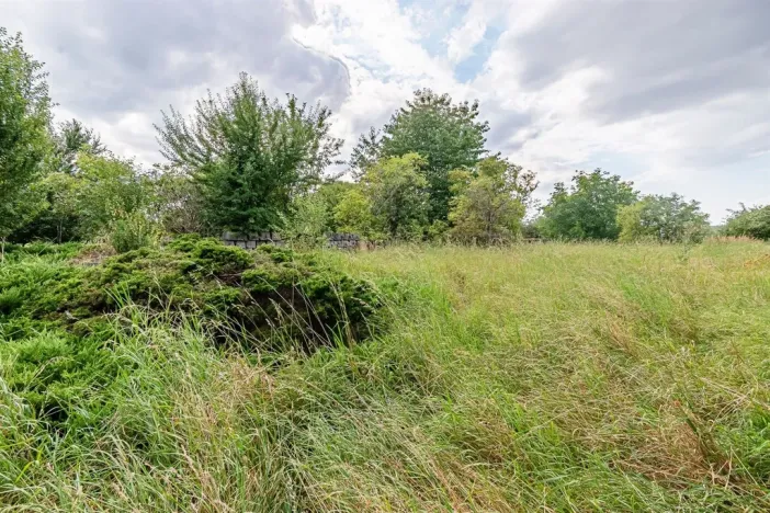 Prodej pozemku pro bydlení, Určice, 7614 m2