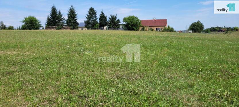 Prodej pozemku pro bydlení, Čížová - Topělec, 4210 m2